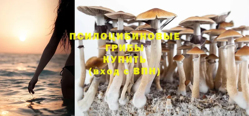 Галлюциногенные грибы Psilocybine cubensis  Ува 